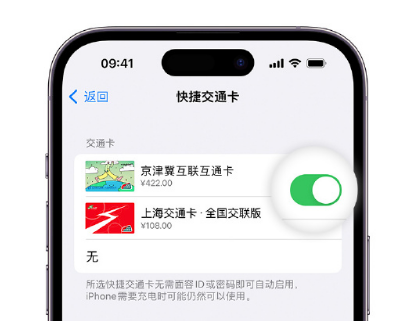 建华apple维修点分享iPhone上更换Apple Pay快捷交通卡手绘卡面 