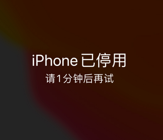 建华苹果手机维修分享:iPhone 显示“不可用”或“已停用”怎么办？还能保留数据吗？ 