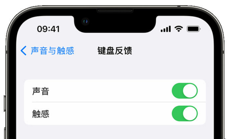 建华苹果手机维修分享iPhone 14触感键盘使用方法 