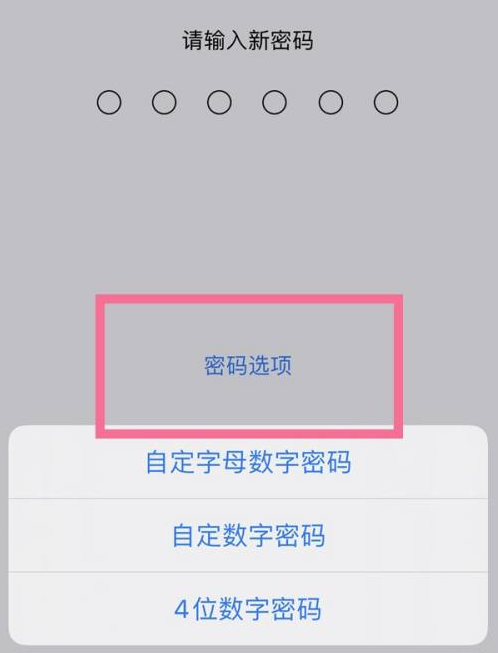 建华苹果14维修分享iPhone 14plus设置密码的方法 