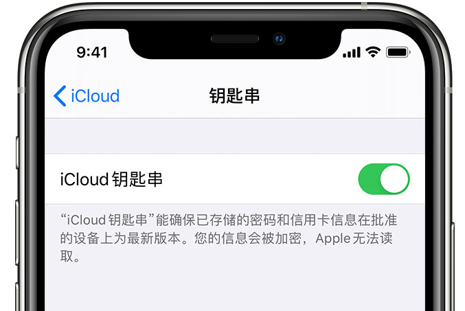 建华苹果手机维修分享在 iPhone 上开启 iCloud 钥匙串之后会储存哪些信息 