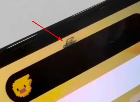 建华苹果14维修分享iPhone 14 Pro Max灵动岛怎么养宠物 