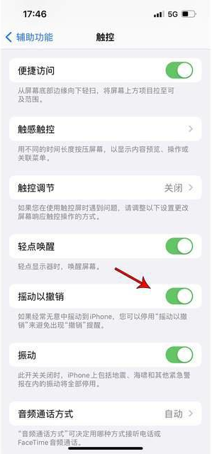 建华苹果手机维修分享iPhone手机如何设置摇一摇删除文字 